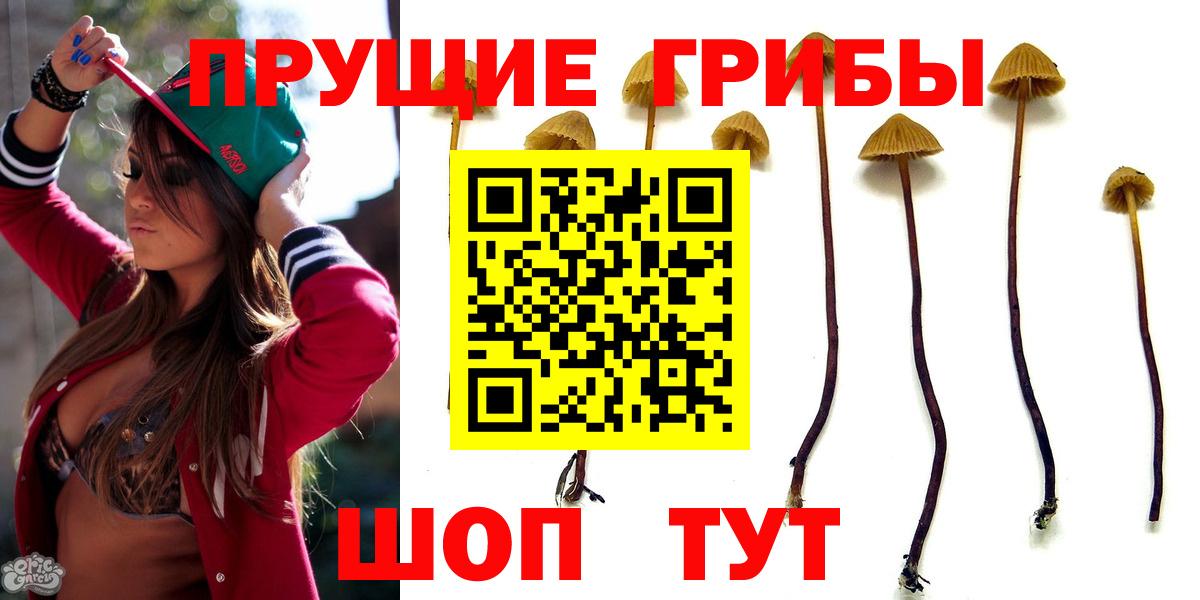Галлюциногенные грибы Magic Shrooms Берёзовский